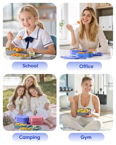 Bento Box Adult Lunch Box (Blue)