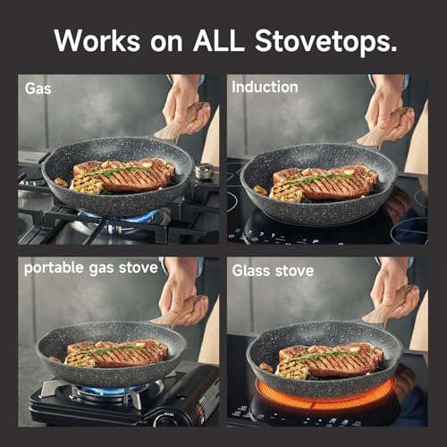9.5 Inch Nonstick Frying Pan Skillet with Dual Spouts Omelet Egg Pan (Gray / 9.5")