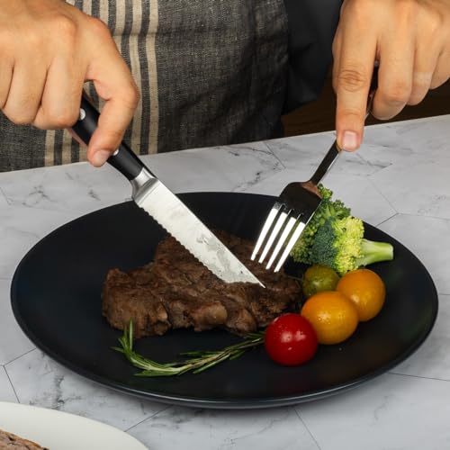 6 Piece Steak Knives Set with Block (Black / 6-Piece with Block)