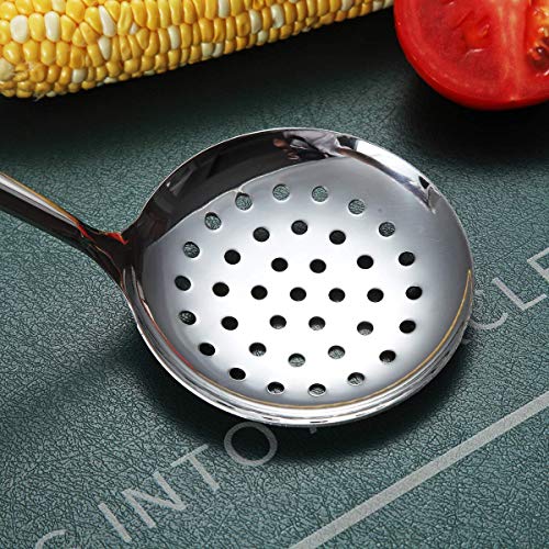 Stainless Steel Skimmer (H. Skimmer)
