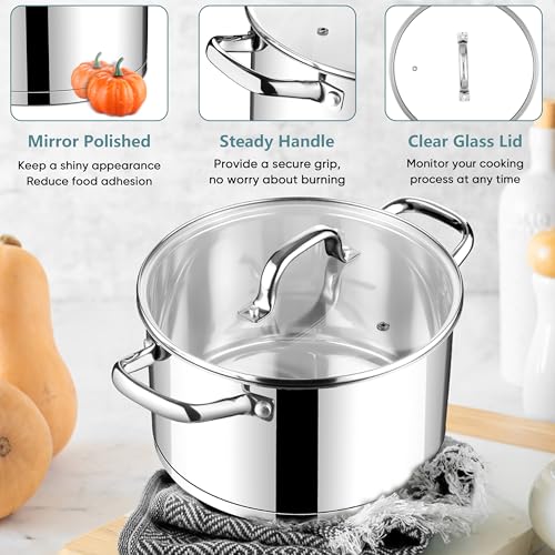 4 Quart Stock Pot with Lid (4 Quarts)