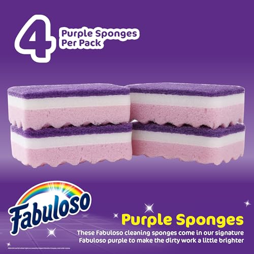 Scratch Free Kitchen Dish Sponges (Purple / 4 Count (Pack of 1))