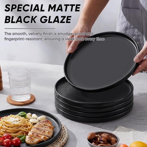 Dinner Plates Set of 6 (Matte Black / 10.5'')