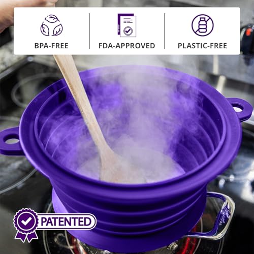 Silicone Splatter Guard (Violet / 8-10")