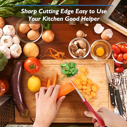Black Kitchen Shears (Black)
