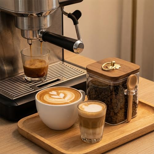 2 Pack Glass Jars with Lids and Spoons (16oz Square Glass)