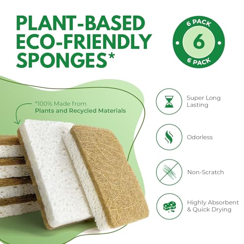 Biodegradable Natural Kitchen Sponges Pack of 6 (6 Pack)