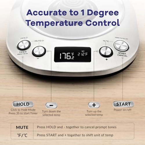 Electric Gooseneck Kettle With LCD Display Automatic Shut Off Retro Coffee Kettle Temperature Control Hot Water Boiler to Pour Over Tea (Stainless Steel)