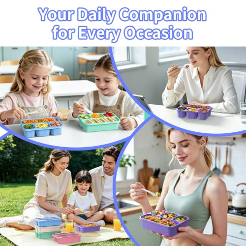 Bento Box 5 Pack (5 Colors)