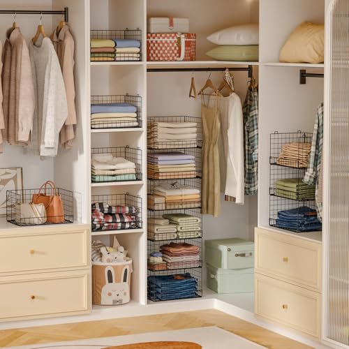 6 Tier Stackable Closet Organizers and Storage Shelves (6 Tier / Black)