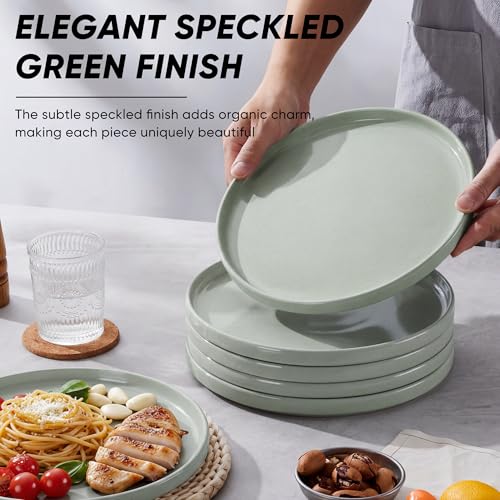 Dinner Plates Set of 6 (Mist Green / 10.5'')