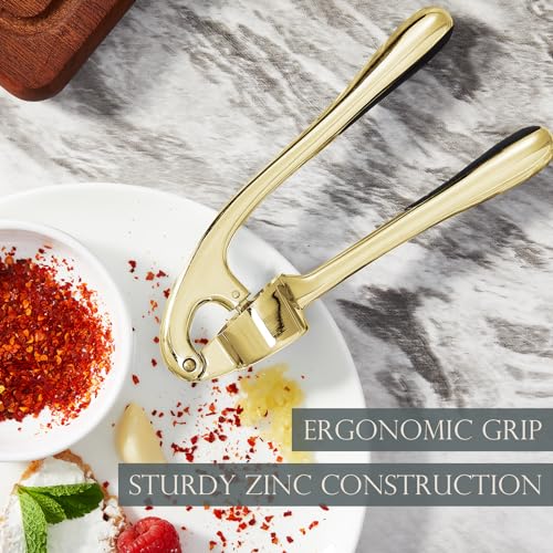 High Effective Garlic Press With Studs (Golden)