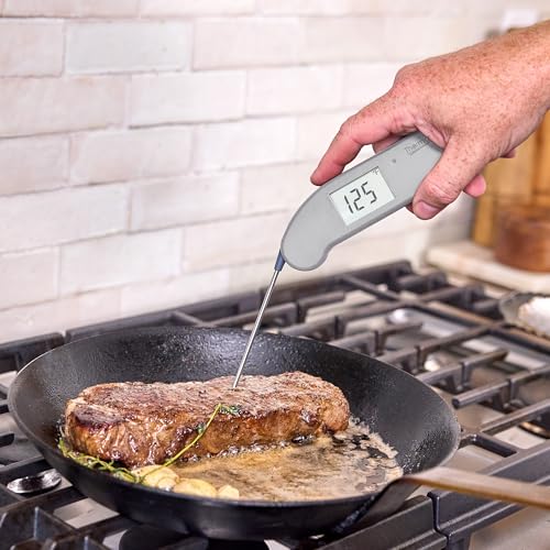 Thermapen ONE (Nautical Blue)