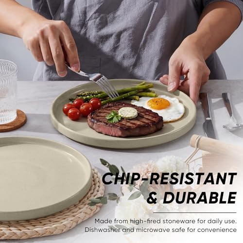 Dinner Plates Set of 6 (Deep Khaki / 10.5'')