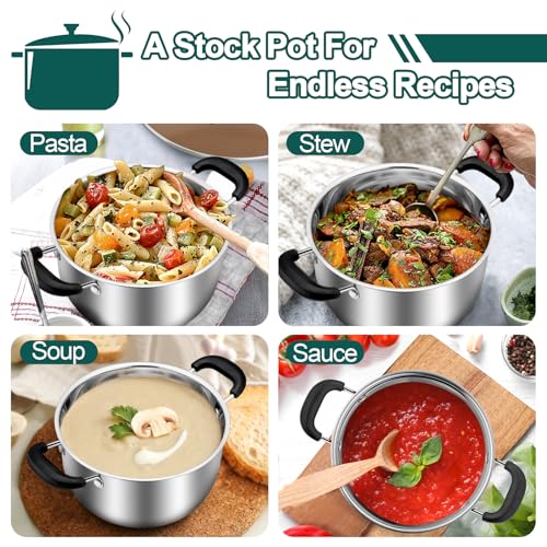 3 Quart Stock Pot (3 Quarts)