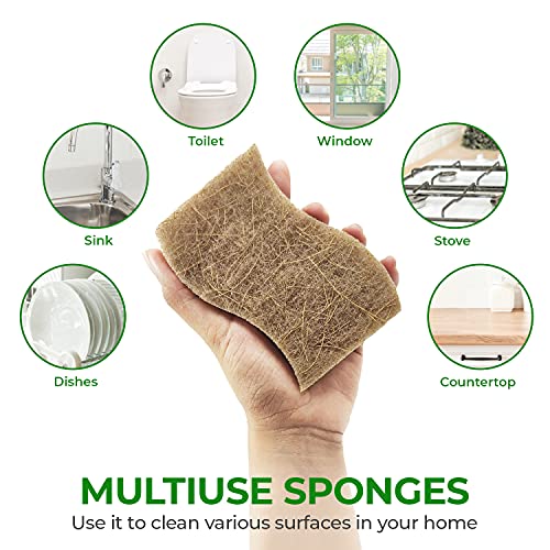 Natural Kitchen Sponges (6 Pack)