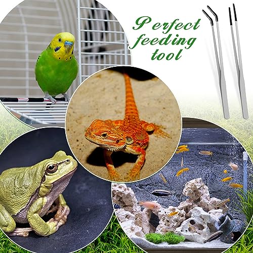 2 Pcs Reptile Feeding Tongs (Silver / 10 Inch, 10.5 Inch)