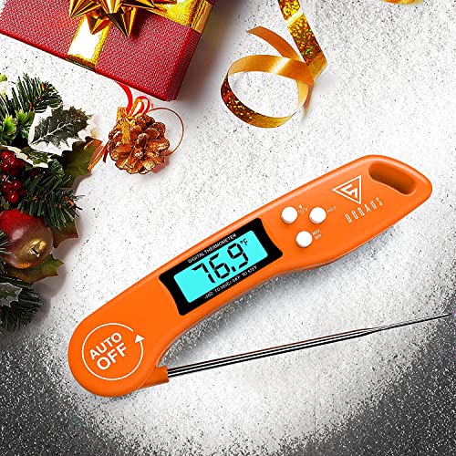 Meat Thermometer