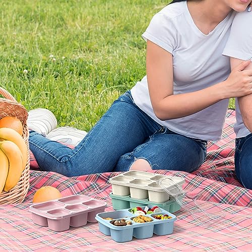 Bento Box Adult Lunch Box (Wheat(Green/Blue/Pink/Beige))