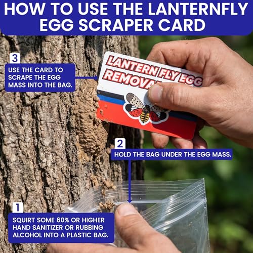 Spotted Lantern Fly Trap for Trees. 3 Sticky Fly Paper Rolls with Pins and Egg Scraper. Bug Tree Tape Wrap Ant Barrier Spotted Lanternfly Killer. Lantern Flies Tape for Trees Glue Insect Barrier