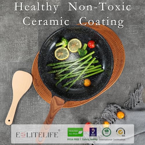 Nonstick Ceramic Frying Pan Skillet (11" / Black)