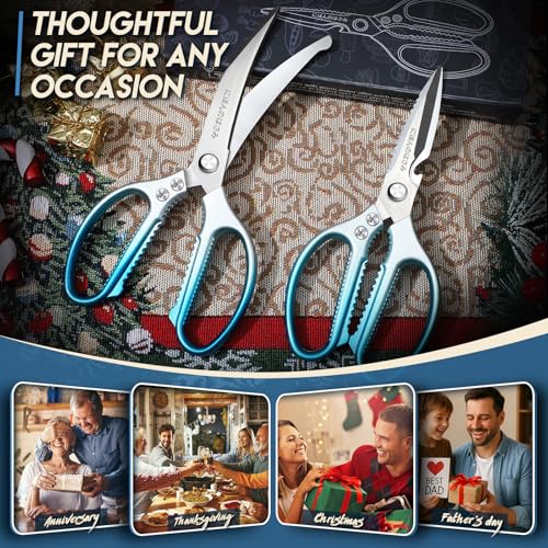 Kitchen Scissors Shears Set (Blue)