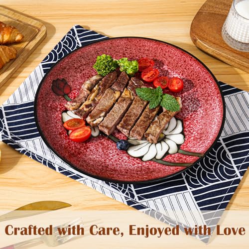 Ceramic Dinner Plates Set of 4 (11 Inch)