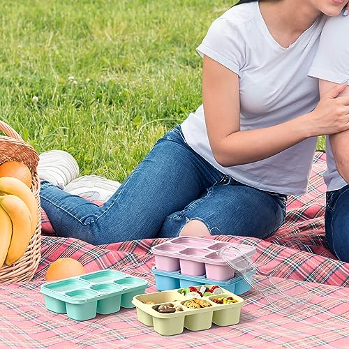 Bento Box Adult Lunch Box (PP(Blue/Pink/Green/Yellow))