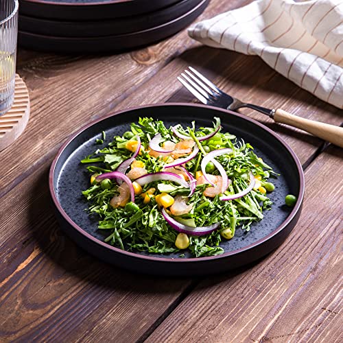 Ceramic Dinner Plates Set of 6 (10.25Inch-6pcs / 10.25Inch-6pcs)
