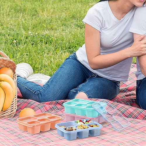 Bento Box Adult Lunch Box (Transparent(Blue/Pink/Green/Yellow))
