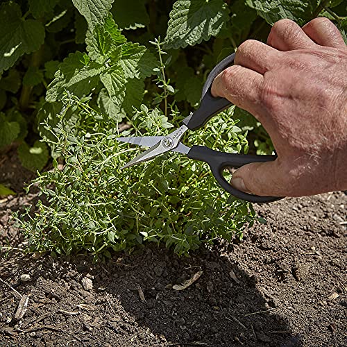 Herb Snips 6 1 (Herb Snips 6.5 Inch)