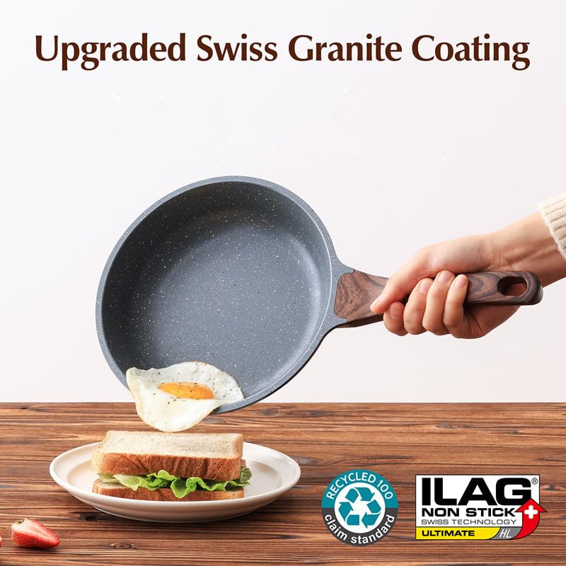 11inch Nonstick Frying Pan Chef's Pan with Glass Lid (Gray Granite / 11 Inch)