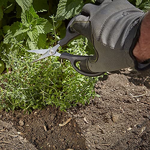 Herb Snips 6 1 (Herb Snips 6.5 Inch)