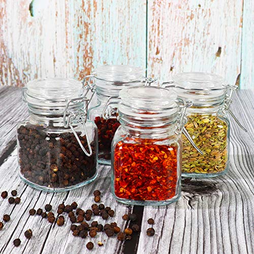 24 Pack 4 oz Mini Square Spice Jars with Airtight Hinged Lid (24 Pack)